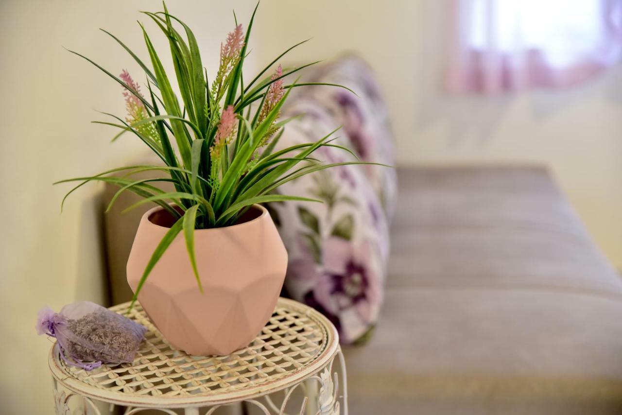 Sea Horse Apartment Zadar Ngoại thất bức ảnh